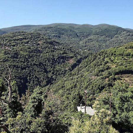 Theta Hotel Pelion Áyios Dhimítrios Kültér fotó